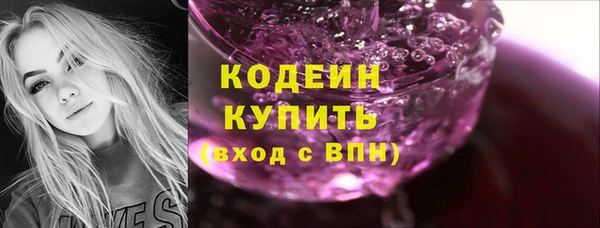 шишки Коряжма