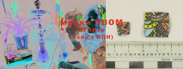 мдпв Корсаков