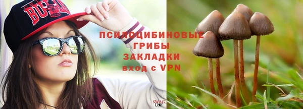 мдпв Корсаков