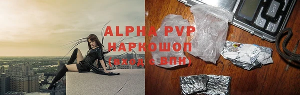 шишки Коряжма