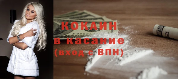 шишки Коряжма