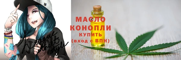 шишки Коряжма