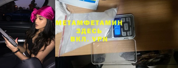 шишки Коряжма