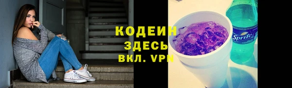мдпв Корсаков