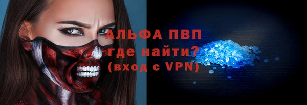 шишки Коряжма