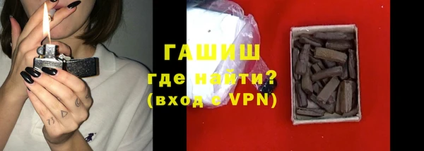 шишки Коряжма