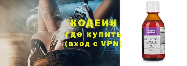 шишки Коряжма