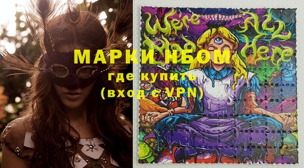 шишки Коряжма