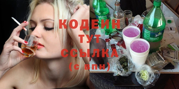 мдпв Корсаков