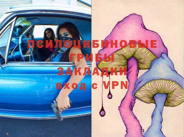 шишки Коряжма