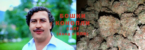 мдпв Корсаков