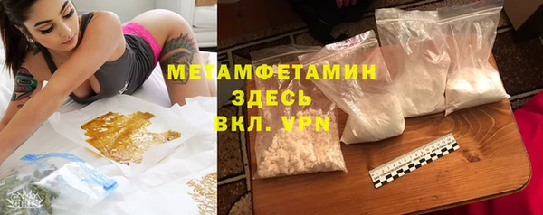 шишки Коряжма