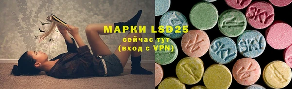мдпв Корсаков
