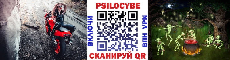 Галлюциногенные грибы Psilocybine cubensis  Черкесск 