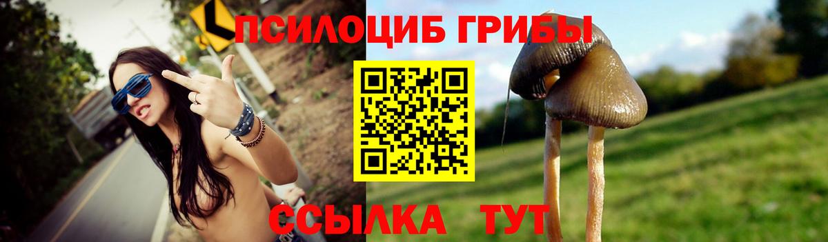 Черкесск  Псилоцибиновые грибы мухоморы  Вход с VPN 