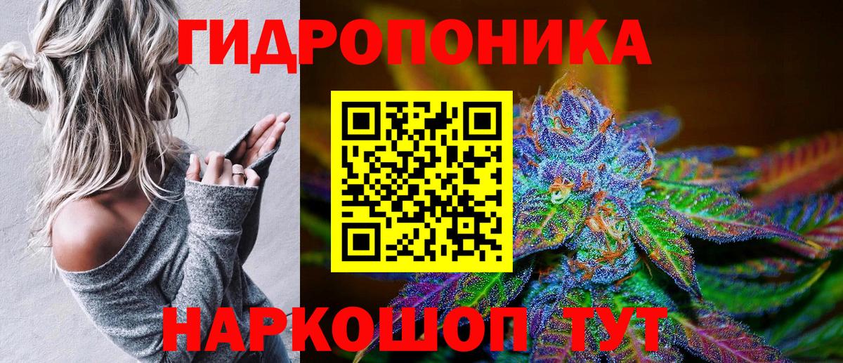 Бошки Шишки Amnesia Черкесск